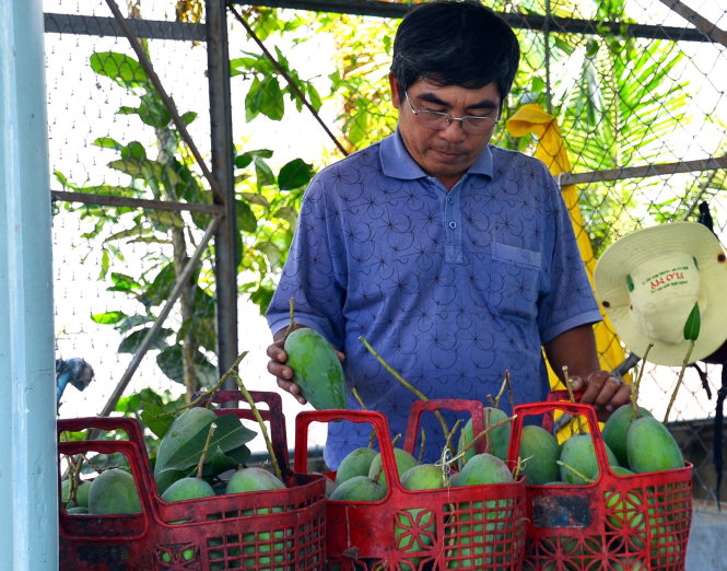 Japan helps boost Dong Nai’s mangoes export